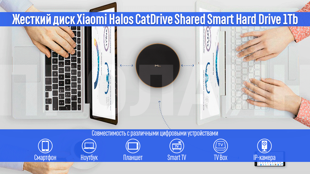 Жесткий диск Xiaomi Halos CatDrive Shared Smart Hard Drive 1Tb