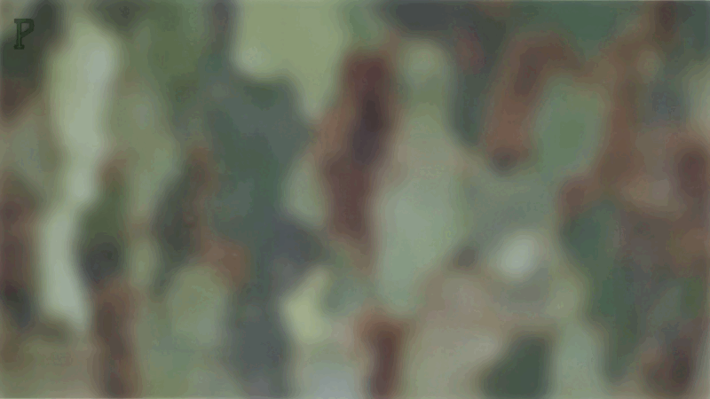 Радиостанция Baofeng UV-5R Camo