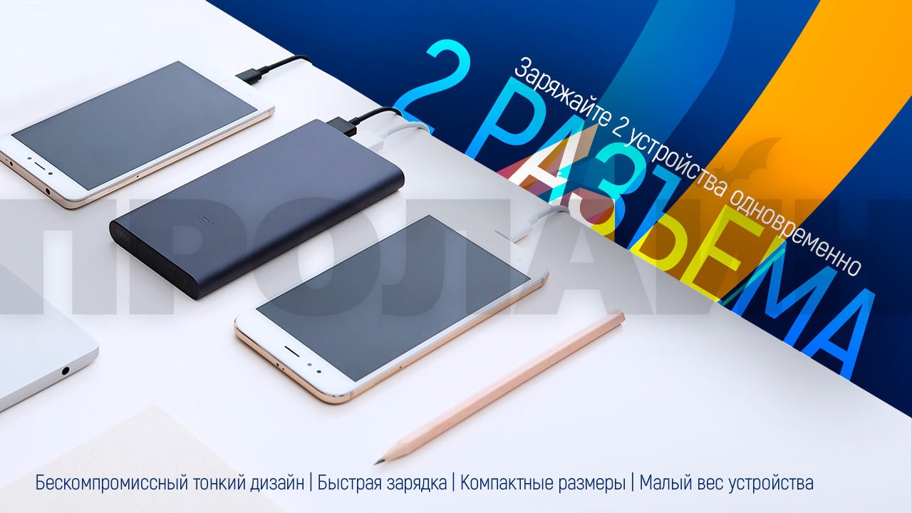 Внешний аккумулятор Xiaomi Mi Power Bank 2i 10000 Silver 