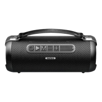 REMAX RBM43B Gwens Black