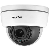 Proline IP-D2133AVZ POE