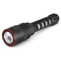 Proline P-0013